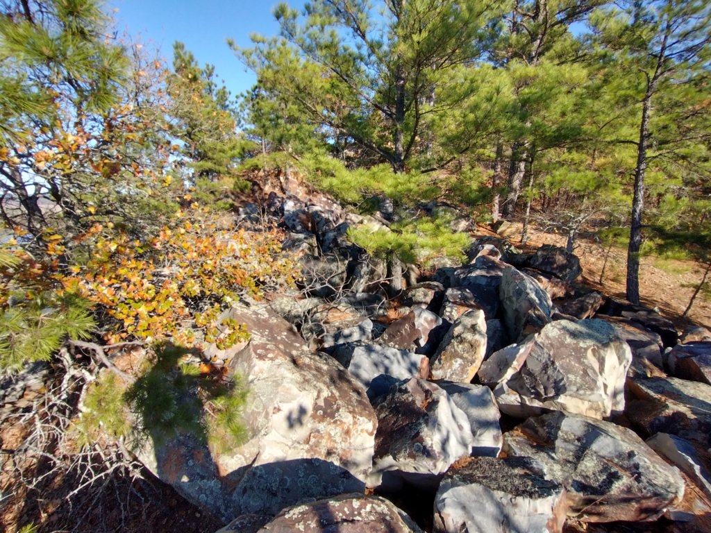 img_20201115_143713681_hdr.jpg