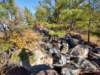 img_20201115_143713681_hdr_small.jpg