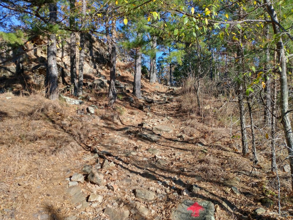 img_20201115_143759897_hdr.jpg