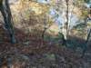 img_20201115_143858717_small.jpg