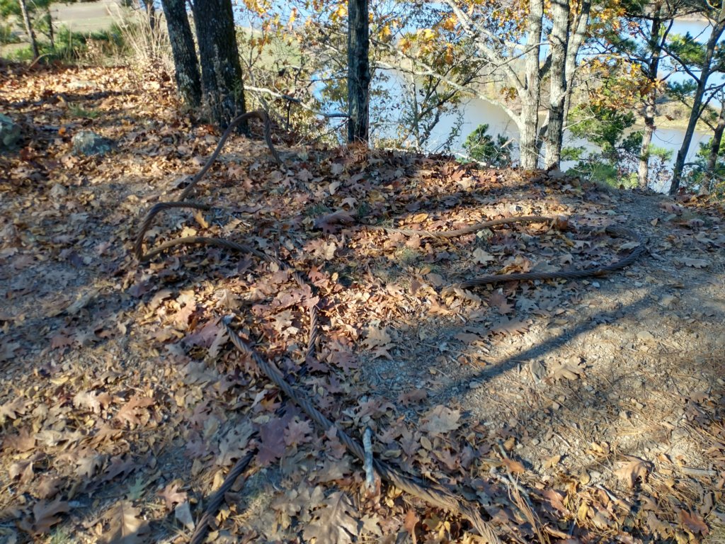 img_20201115_143908631_hdr.jpg