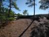 img_20201115_143931264_small.jpg