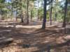 img_20201115_144106141_small.jpg