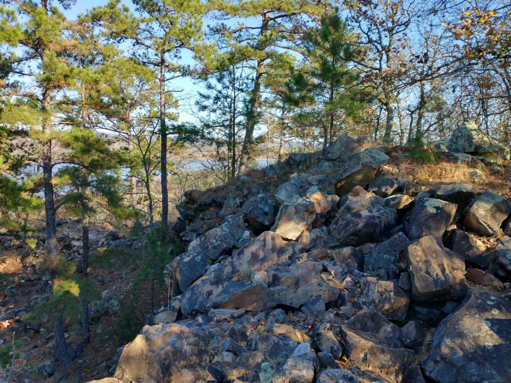 img_20201115_144455296_hdr.jpg