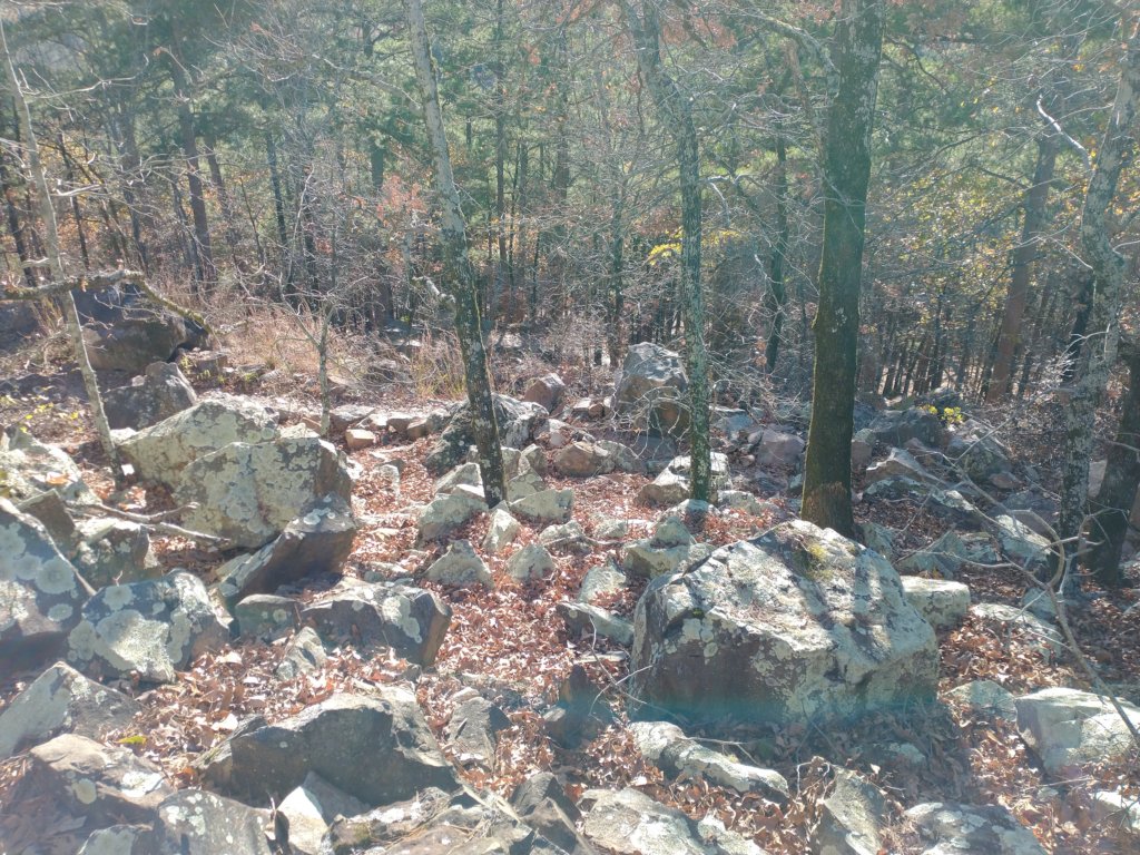 img_20201115_144533332.jpg