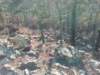 img_20201115_144533332_small.jpg