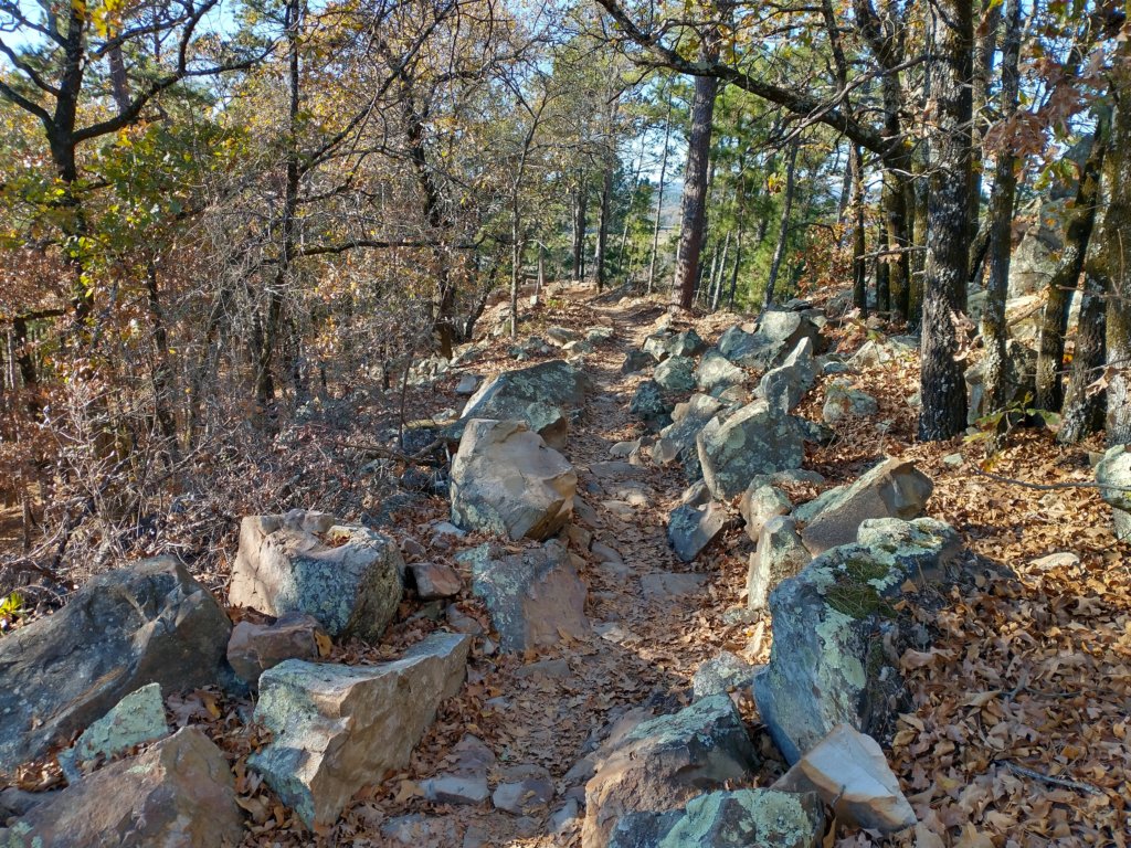 img_20201115_144639119_hdr.jpg