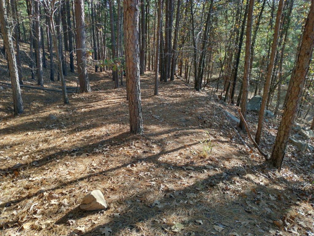 img_20201115_144914941_hdr.jpg