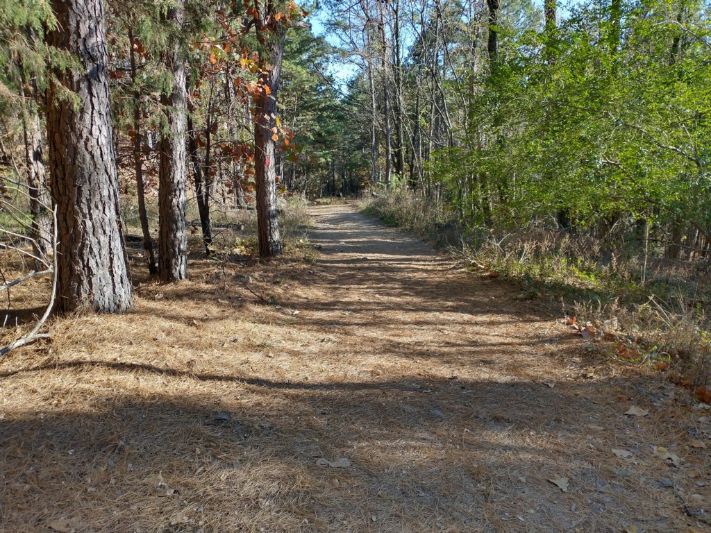 img_20201115_145039939_hdr.jpg