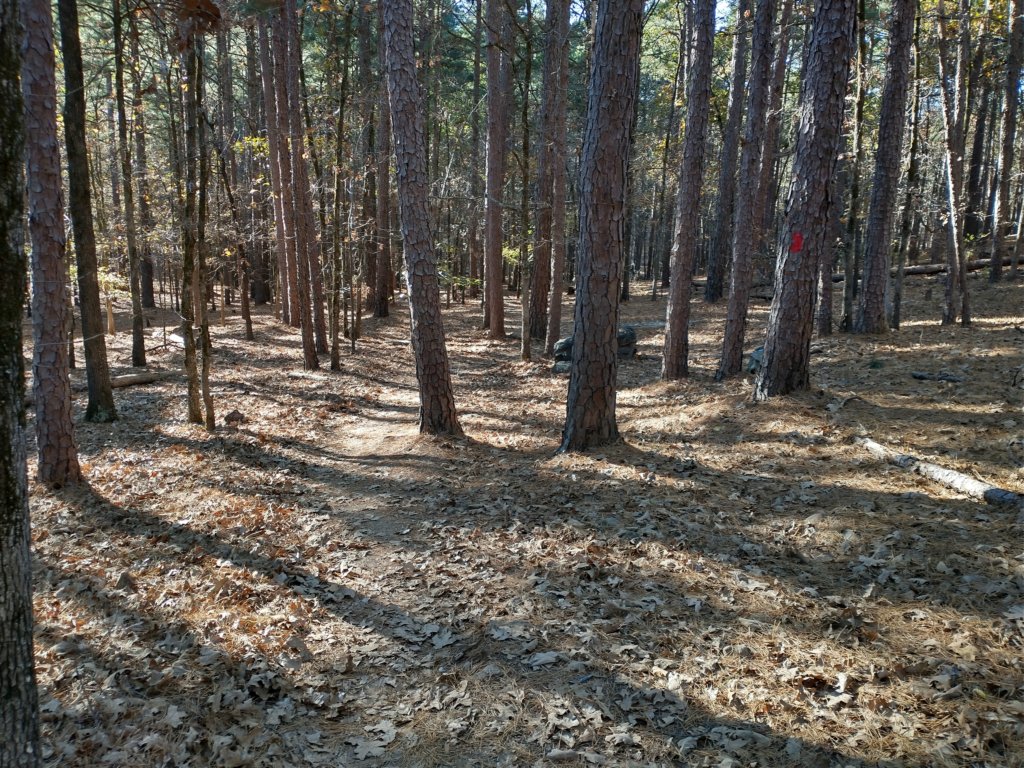 img_20201115_145207527_hdr.jpg