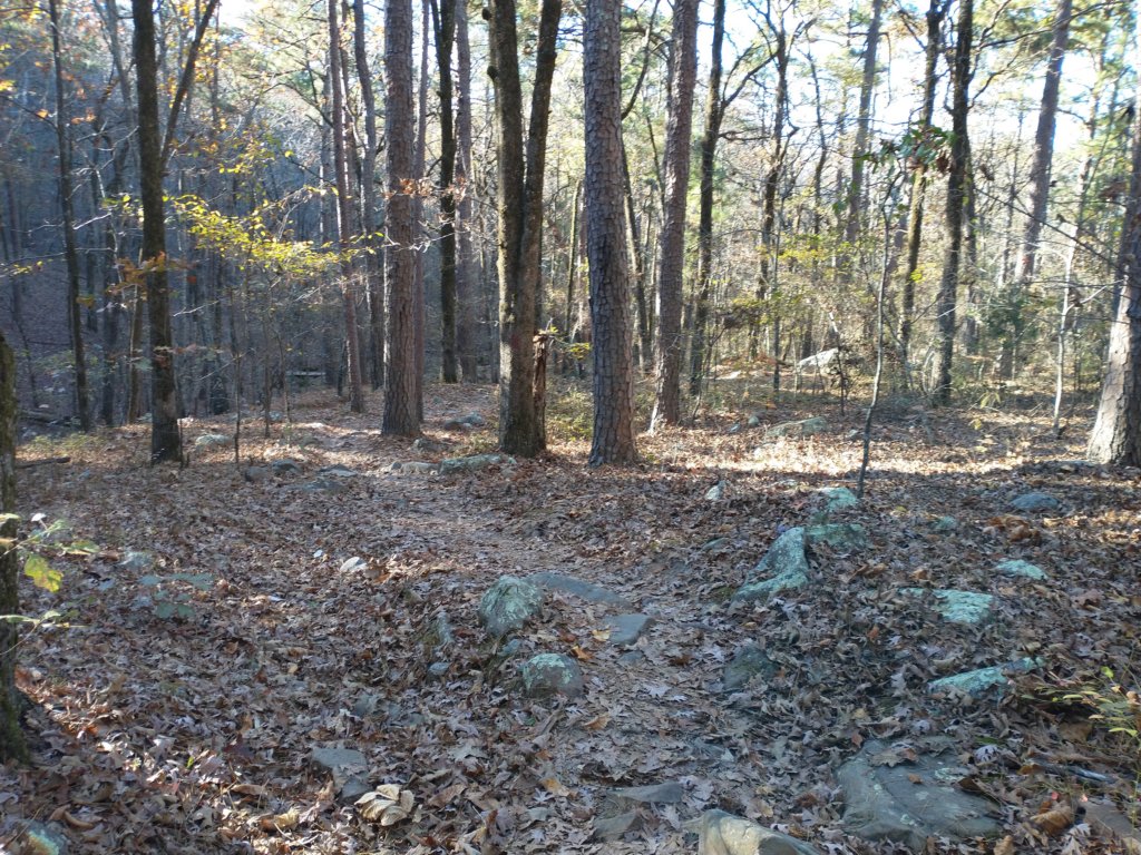 img_20201115_145708316.jpg