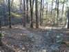 img_20201115_145708316_small.jpg