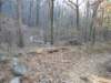 img_20201115_145805835_small.jpg