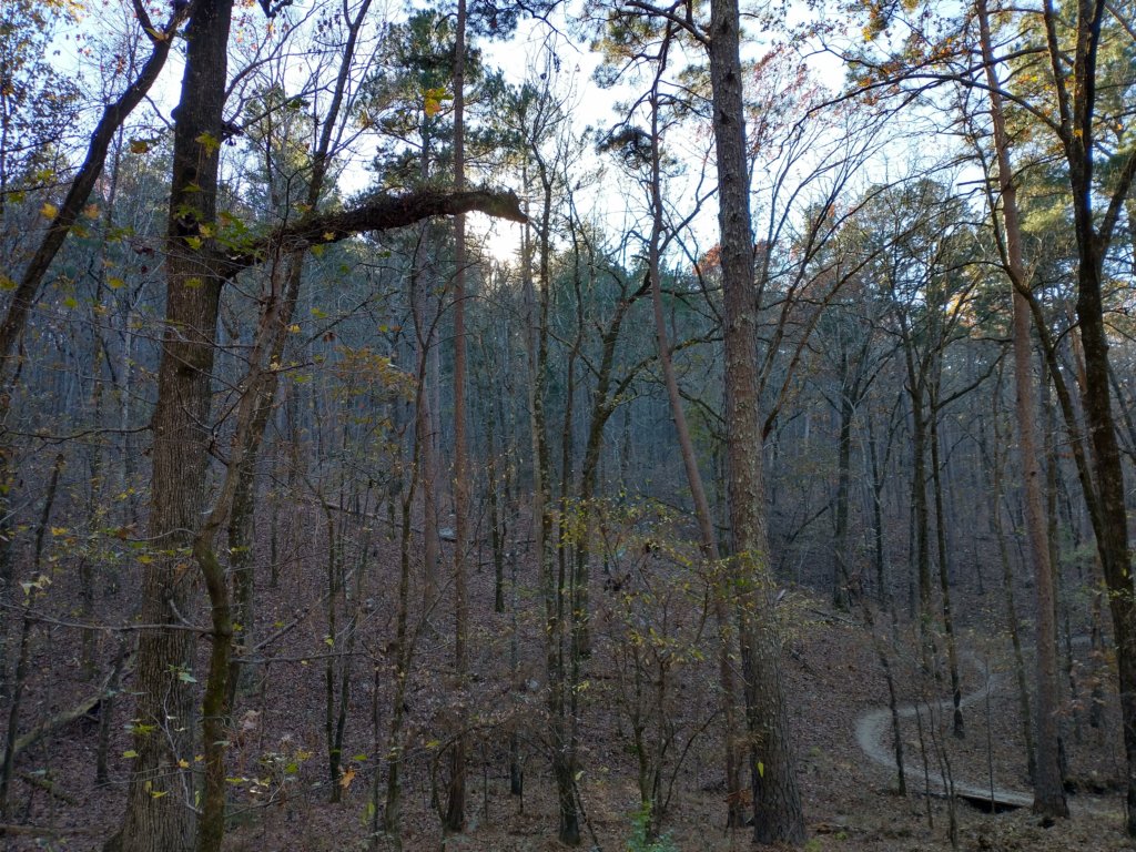 img_20201115_145809111_hdr.jpg
