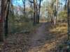 img_20201115_145821494_hdr_small.jpg