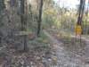 img_20201115_150022717_small.jpg