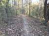 img_20201115_150036636_small.jpg