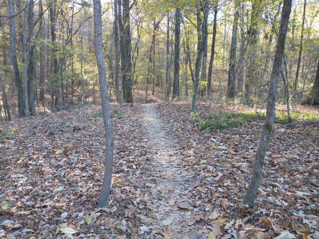 img_20201115_150117708.jpg