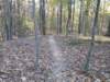img_20201115_150117708_small.jpg