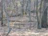 img_20201115_150132051_small.jpg