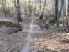 img_20201115_150156984_small.jpg