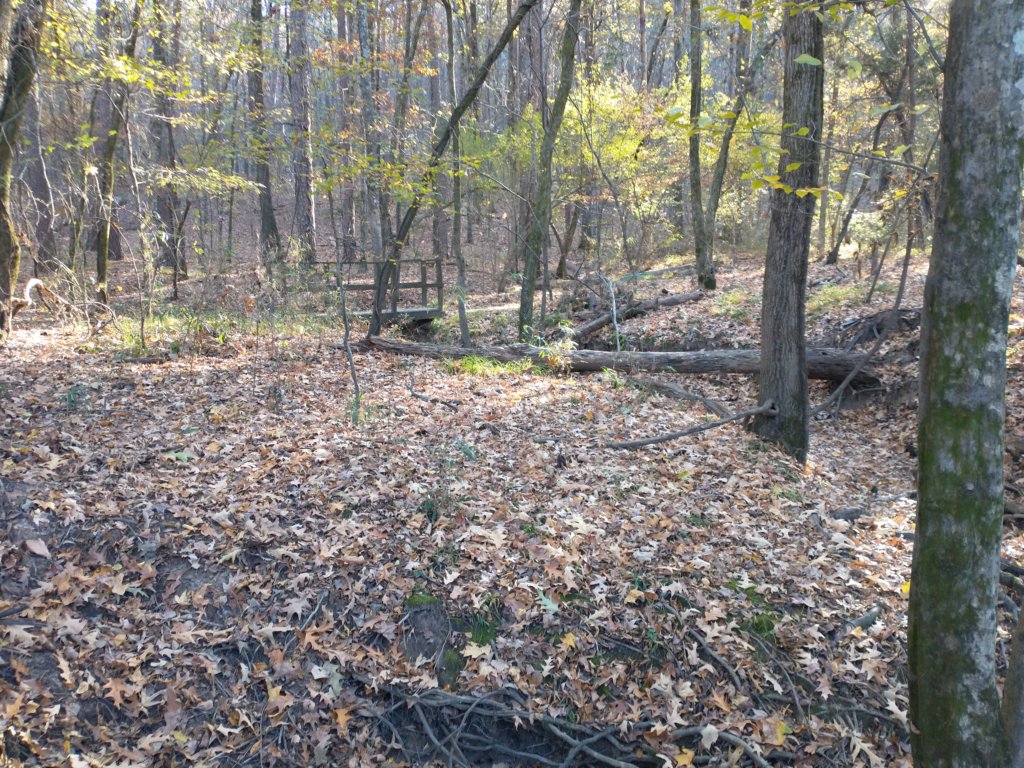 img_20201115_150227665.jpg