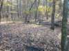 img_20201115_150227665_small.jpg
