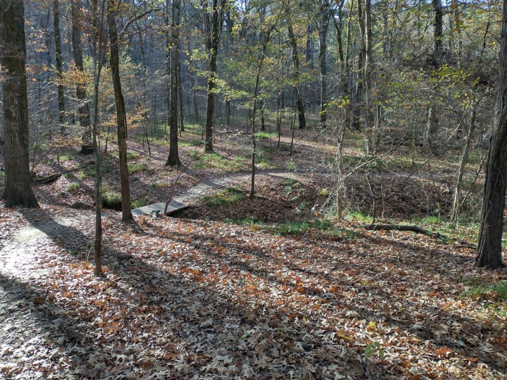 img_20201115_150352742_hdr.jpg