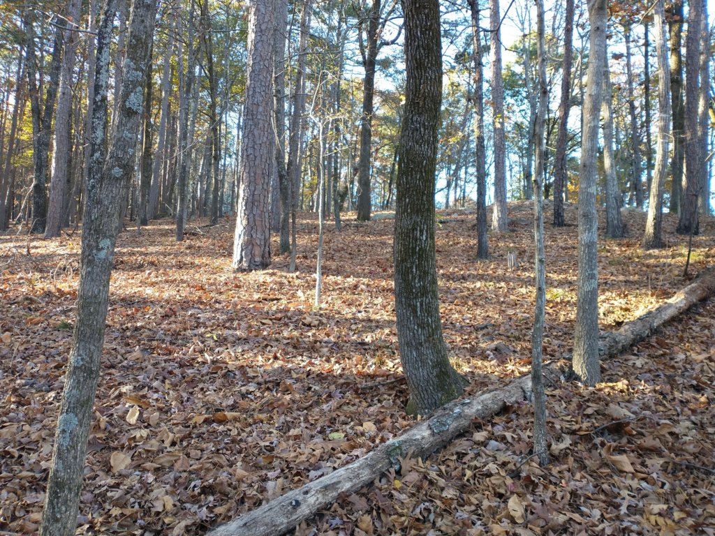 img_20201115_150748737.jpg