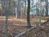 img_20201115_150748737_small.jpg