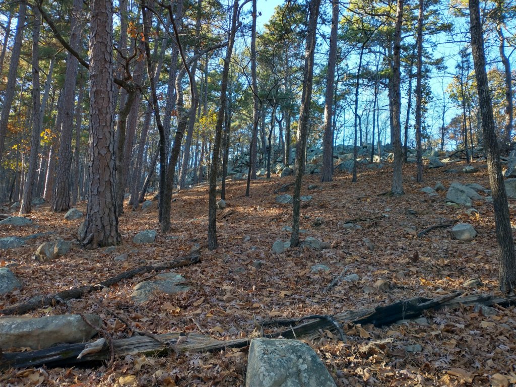 img_20201115_150947650_hdr.jpg