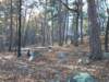 img_20201115_150956413_small.jpg