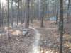 img_20201115_151036498_small.jpg