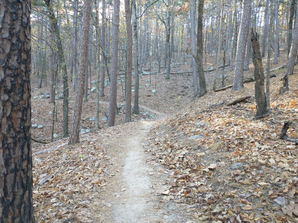 img_20201115_151219106.jpg
