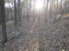 img_20201115_151434807_small.jpg