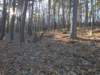 img_20201115_151437254_small.jpg