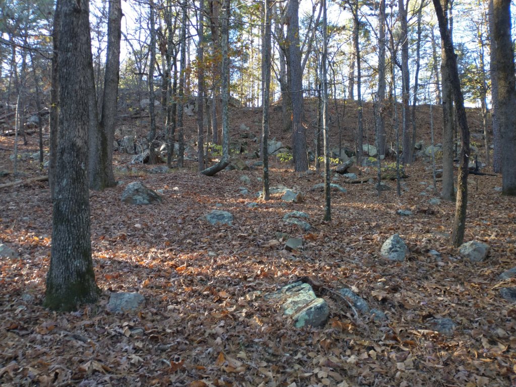 img_20201115_151556825.jpg