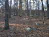 img_20201115_151556825_small.jpg