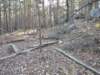 img_20201115_151713639_small.jpg