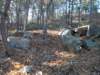 img_20201115_151747317_small.jpg