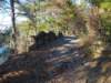 img_20201115_151947087_small.jpg