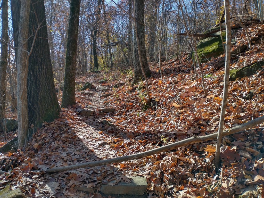 img_20231125_110835958_hdr.jpg