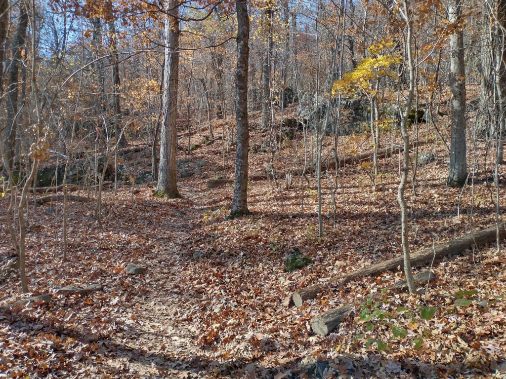 img_20231125_111022573_hdr.jpg