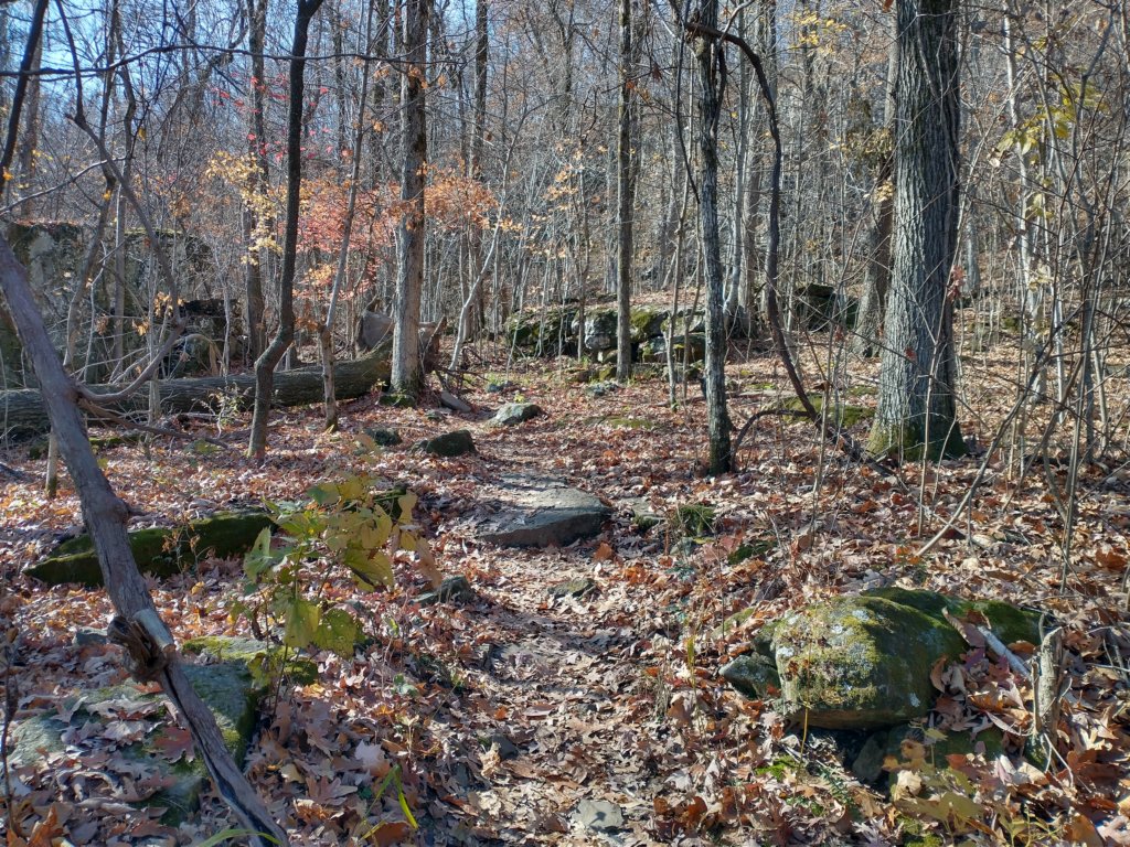 img_20231125_111246512_hdr.jpg