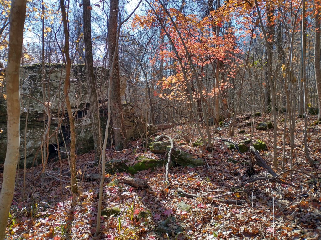 img_20231125_111320936_hdr.jpg