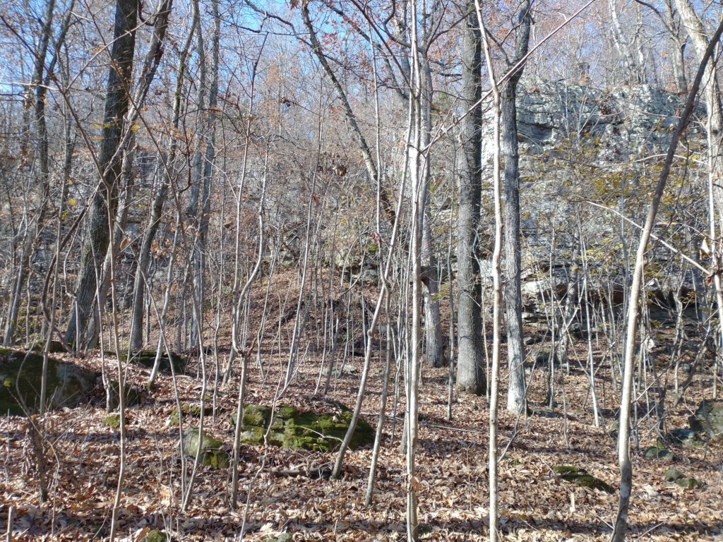 img_20231125_111340810.jpg