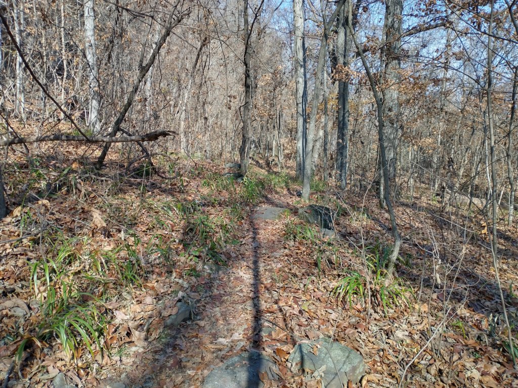 img_20231125_111627713_hdr.jpg
