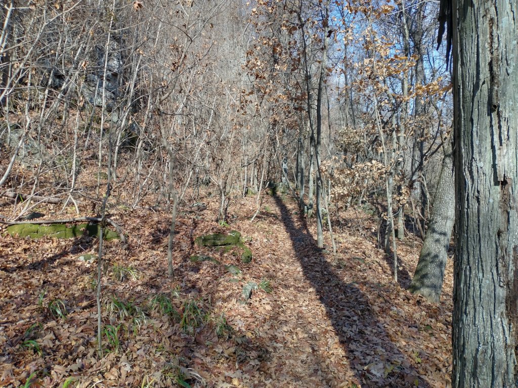 img_20231125_111655768_hdr.jpg