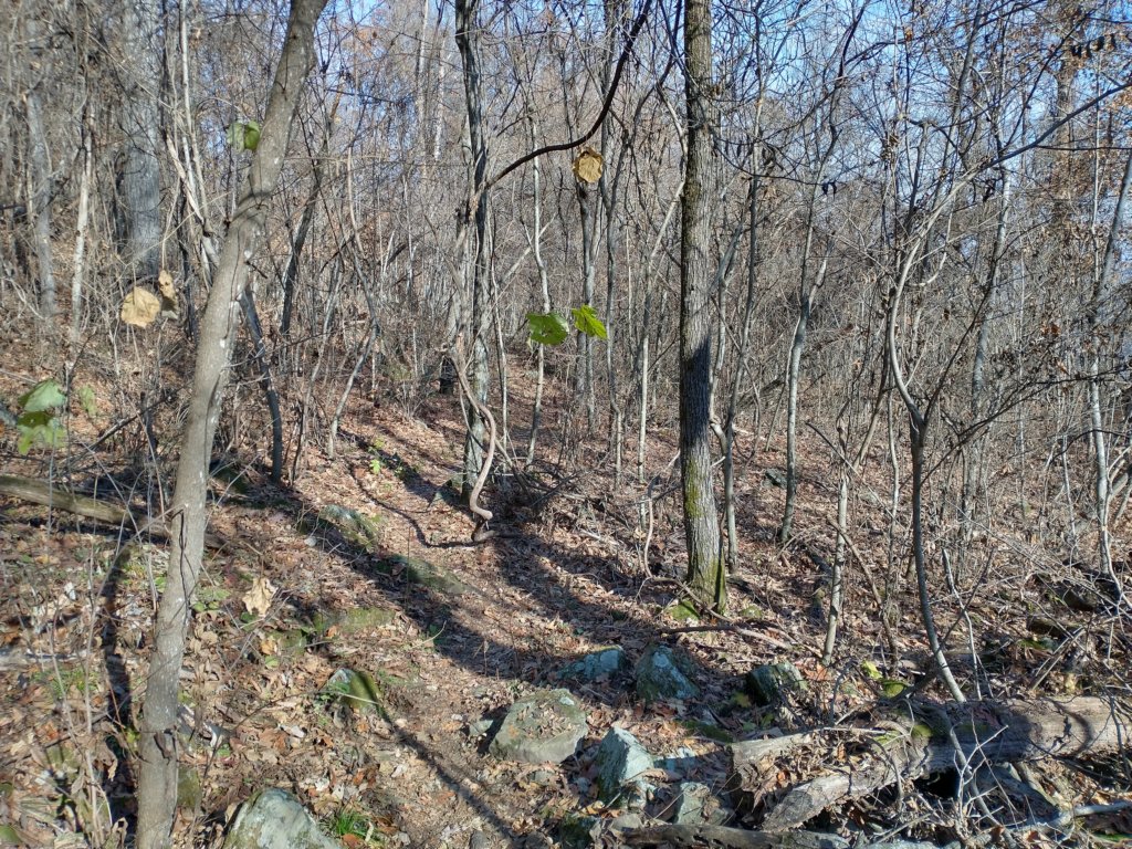 img_20231125_111829913_hdr.jpg