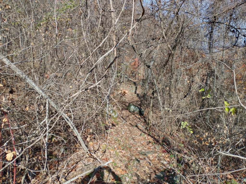 img_20231125_112508529_hdr.jpg